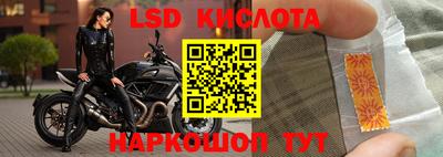 крисы Абакан