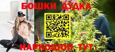 крисы Абакан