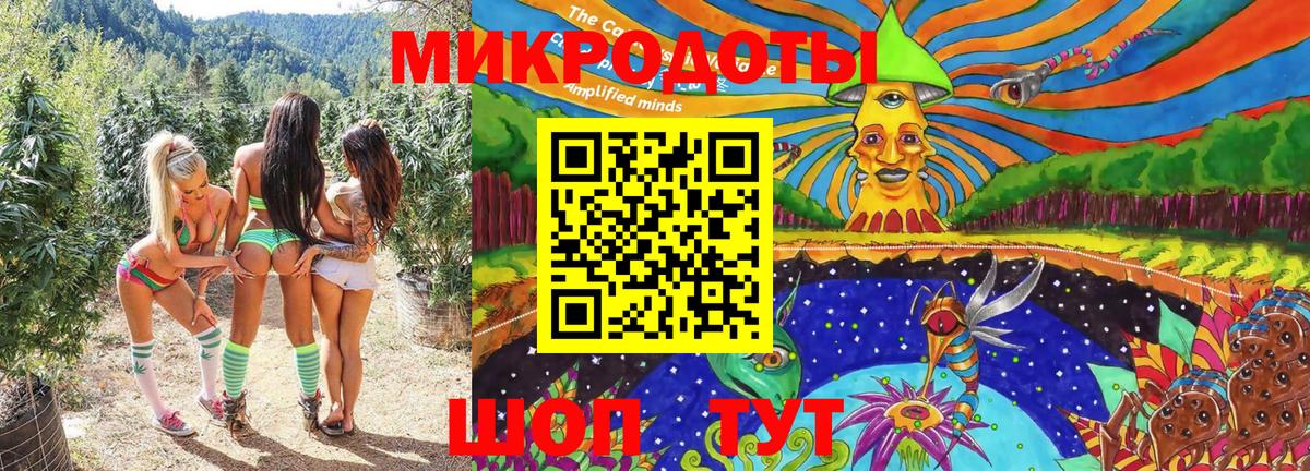 Псилоцибиновые грибы прущие грибы Анжеро-Судженск